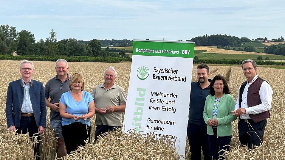 Verhalten zuversichtlich zeigen sich auf dem Weizenfeld im Ortsteil Galgweis: (v.l.) Josef Groß, Behördenleiter Amt für Ernährung, Landwirtschaft und Forsten Deggendorf-Straubing, Johannes und Rosmarie Mattis, BBV-Ortsobmann Johann Mader, Juniorbetriebsleiter Max Mattis, Bezirksbäuerin Claudia Erndl und Siegfried Jäger, BBV Bezirkspräsident Niederbayern. Verhalten zuversichtlich zeigen sich auf dem Weizenfeld im Ortsteil Galgweis: (v.l.) Josef Groß, Behördenleiter Amt für Ernährung, Landwirtschaft und Forsten Deggendorf-Straubing, Johannes und Rosmarie Mattis, BBV-Ortsobmann Johann Mader, Juniorbetriebsleiter Max Mattis, Bezirksbäuerin Claudia Erndl und Siegfried Jäger, BBV Bezirkspräsident Niederbayern.