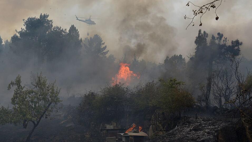 In einigen Fällen wird Brandstiftung vermutet.