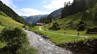 Der Rappenalpbach im Allgäu war durch Baggerarbeiten in einen Kanal verwandelt worden. Durch neue Arbeiten ist er nun wieder im Zustand eines Wildbachs. (Archivbild) Der Rappenalpbach im Allgäu war durch Baggerarbeiten in einen Kanal verwandelt worden. Durch neue Arbeiten ist er nun wieder im Zustand eines Wildbachs. (Archivbild)