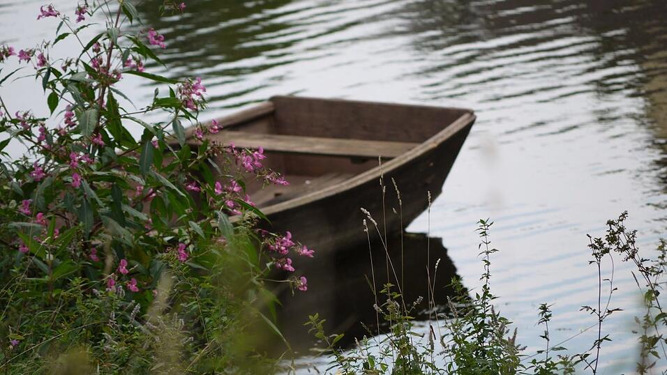 Wunderschönes Ausflugsziel in Passau: die Halser Ilzschleifen. Wunderschönes Ausflugsziel in Passau: die Halser Ilzschleifen.