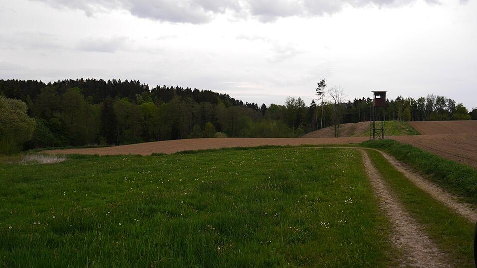 Hier war der mutma&szlig;liche Wolf unterwegs.