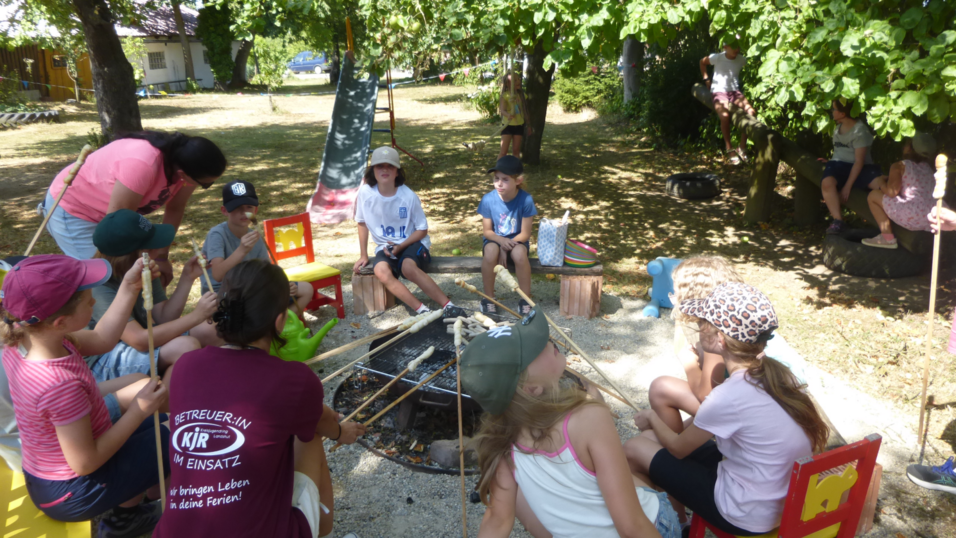 Ferienkinder entdecken Obsthof und Alpakas. Ferienkinder entdecken Obsthof und Alpakas.