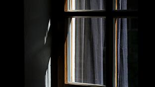 Ein Insektennetz hält die lästigen Tierchen aus der Wohnung. Ein Insektennetz hält die lästigen Tierchen aus der Wohnung.