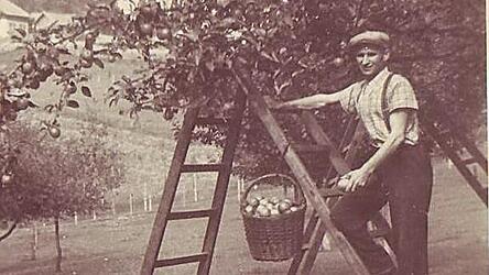 Der große Obstgarten des Reithmaier (Stadtgraben) bescherte alljährlich eine reiche Ernte. Es war so viel, dass man Äpfel auch lagern und später gewinnbringend auf dem Markt verkaufen konnte. Zu sehen ist der junge Hermann Reithmaier beim Apfelpflücken im elterlichen Garten in der Nachkriegszeit. (Archiv) Der große Obstgarten des Reithmaier (Stadtgraben) bescherte alljährlich eine reiche Ernte. Es war so viel, dass man Äpfel auch lagern und später gewinnbringend auf dem Markt verkaufen konnte. Zu sehen ist der junge Hermann Reithmaier beim Apfelpflücken im elterlichen Garten in der Nachkriegszeit. (Archiv)