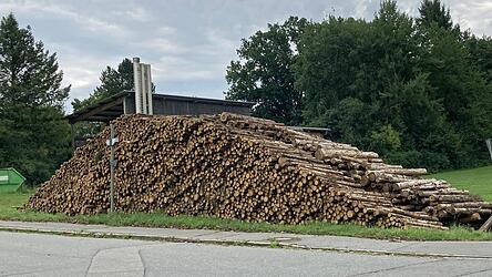 Selbst Schwachholz - hier ein Lager beim Heizwerk der Bayerwald-Wärme an der Hauser Straße - wird aktuell zu Preisen zwischen 87 und 98 Euro gehandelt.