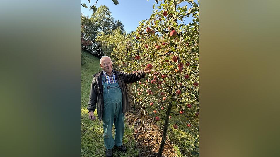 Hans Aumer bei seinen Apfelb&auml;umen: Er ist ein Fachmann, wenn es um die Bestimmung und Veredelung von Apfelb&auml;umen geht.