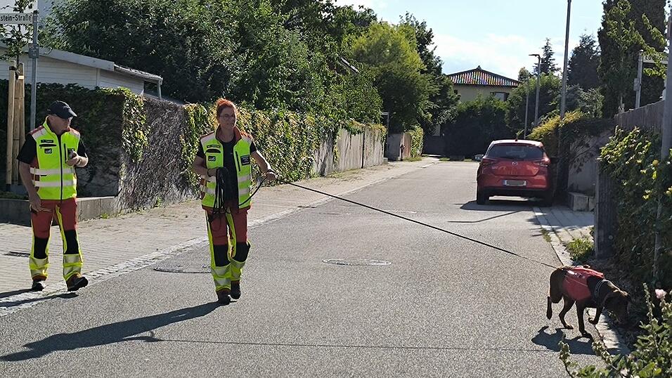 Das „Trailen“ ist für Tier und Mensch anstrengend, dabei können besonders Wind und Hitze zur Gefahr bei der Spurensuche werden. Das „Trailen“ ist für Tier und Mensch anstrengend, dabei können besonders Wind und Hitze zur Gefahr bei der Spurensuche werden.