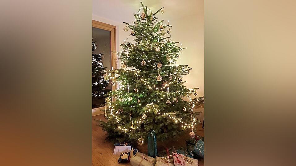 Sabine Saxstetter hat sich bei der Gr&ouml;&szlig;e ihres Baumes versch&auml;tzt: 'Er wurde von drei auf 2,40 Meter gek&uuml;rzt.'