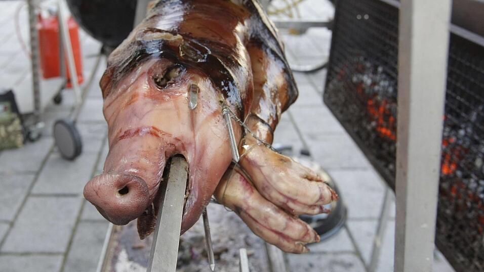 Ganze Schweinekörper, die am Samstag auf dem Viechtacher Stadtplatz gegrillt werden sollen, sorgen seit Monaten für aufsehen - auch überregional. Ganze Schweinekörper, die am Samstag auf dem Viechtacher Stadtplatz gegrillt werden sollen, sorgen seit Monaten für aufsehen - auch überregional.