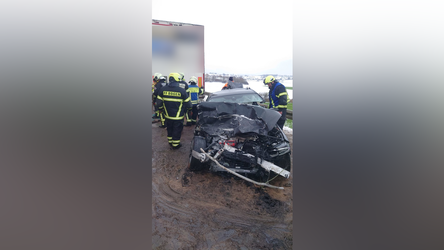 Feuerwehrleute bargen den am Montagvormittag schwer verletzten Autofahrer aus dem Wrack.