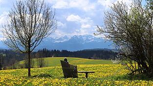 Saftige Wiesen, imposante Berge – mitunter zeigt sich Bayern wie aus dem Bilderbuch. (Archivbild)