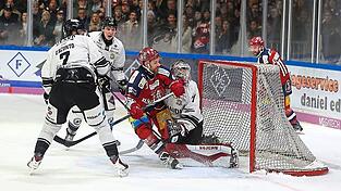 Vollen Einsatz zeigten alle Akteure, hier kollidierte Deggendorfs Ondrej Pozivil (in rot) mit Passaus Torhüter Marco Eisenhut. Vollen Einsatz zeigten alle Akteure, hier kollidierte Deggendorfs Ondrej Pozivil (in rot) mit Passaus Torhüter Marco Eisenhut.