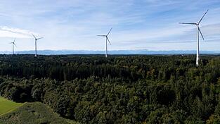 Kaum ein Thema beschäftigt die Bürger im Landkreis Regen so, wie die Windkraft. Auch der Bodenmaiser Bürgermeister, Michael Adam, hat eine klare Meinung zum Thema.