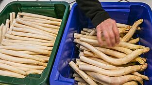 Derzeit bekommen Verbraucher Spargel so g&uuml;nstig wie sonst nicht in der Saison. (Archivbild)