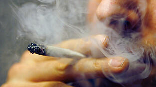 Die Polizei hat Ermittlungen wegen des Verdachts des Handels mit Cannabis aufgenommen. (Symbolbild)
