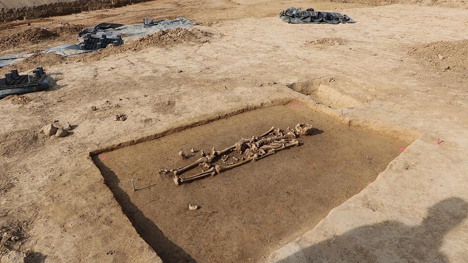 Von diesem Skelett ist vergleichsweise viel erhalten.