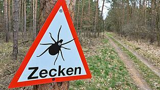 In bestimmten Gebieten ist besondere Vorsicht vor Zecken geboten.