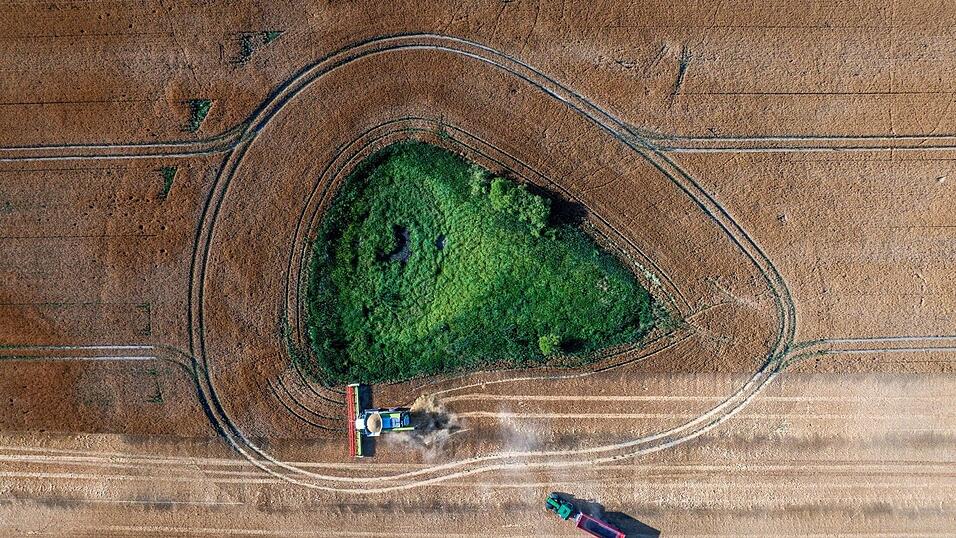 Die Agrarwirtschaft befürchtet, dass Landwirte künftig weniger EU-Geld bekommen. (Archivbild)