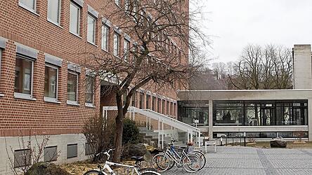 &Uuml;ber einen seit Jahren andauernden Nachbarschaftskonflikt wurde vergangene Woche vor dem Amtsgericht verhandelt.