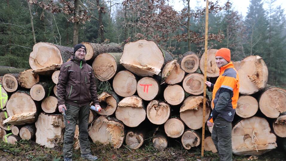 Die beiden Azubis Florian Birner (links) und Sebastian Peter bei der Holzaufnahme. Die beiden Azubis Florian Birner (links) und Sebastian Peter bei der Holzaufnahme.
