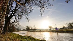 Der Dresdner Extremschwimmer Joseph Heß will die Donau von Ulm bis zur Mündung durchschwimmen. (Symbolbild) Der Dresdner Extremschwimmer Joseph Heß will die Donau von Ulm bis zur Mündung durchschwimmen. (Symbolbild)
