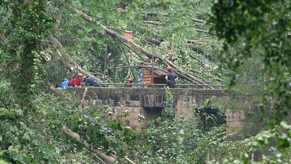 Bei einem Unwetter stürzten zalhreiche Bäume um. Bei einem Unwetter stürzten zalhreiche Bäume um.