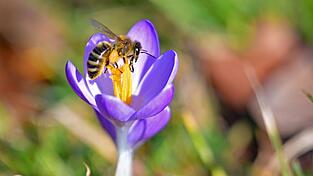 Die Temperaturen in Bayern steigen weiter.
