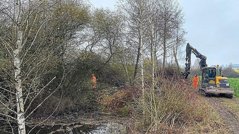 Gehölzbestände an den Straßen werden in Abständen von zehn bis 15 Jahren gepflegt, immer in den Wintermonaten, um Tiere nicht zu stören Gehölzbestände an den Straßen werden in Abständen von zehn bis 15 Jahren gepflegt, immer in den Wintermonaten, um Tiere nicht zu stören