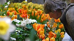 Die Besucherzahl auf der diesj&auml;hrigen Woche &uuml;bertraf die Erwartungen deutlich. (Archivbild)