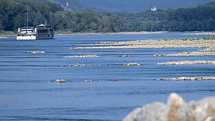 Die Wassertemperatur in der Donau ist derzeit zu hoch. (Symbolbild) Die Wassertemperatur in der Donau ist derzeit zu hoch. (Symbolbild)