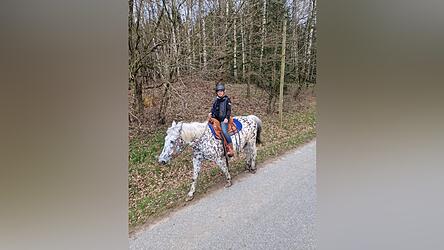 Manuela Lubich bei einem fr&uuml;heren Ausritt mit der Kaltbl&uuml;terin Tara, f&uuml;r die sie eine Reitbeteiligung hat.