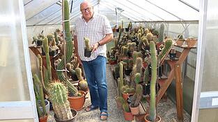 Erich Brunner ist besonders stolz auf seinen 'Schwiegermutterstuhl'. Dieser Kaktus ist seit rund 40 Jahren in seinem Besitz und bereits über 50 Kilogramm schwer. Erich Brunner ist besonders stolz auf seinen 'Schwiegermutterstuhl'. Dieser Kaktus ist seit rund 40 Jahren in seinem Besitz und bereits über 50 Kilogramm schwer.