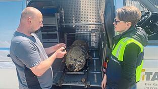 Der Mann mit den guten Nerven: Sprengmeister Sebastian Braun hat mit seinem Team die Bombe am Bahnhof entsch&auml;rft.