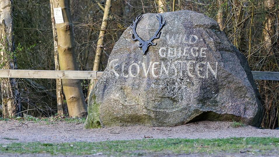 Bis zu seinem Transport nach Niedersachsen war der Wolf im Wildgehege Klövensteen untergebracht und tiermedizinisch versorgt worden. Bis zu seinem Transport nach Niedersachsen war der Wolf im Wildgehege Klövensteen untergebracht und tiermedizinisch versorgt worden.