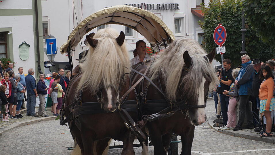 Impressionen vom 34. Bad K&ouml;tztinger Rosstag