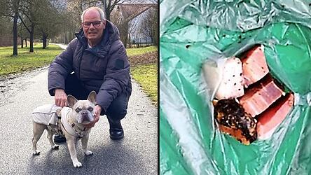 Peter Koller und sein Hund Pablo gehen t&auml;glich auf der Hundewiese spazieren. Am Dienstag wurden etwa 30 verd&auml;chtige K&ouml;der entdeckt.