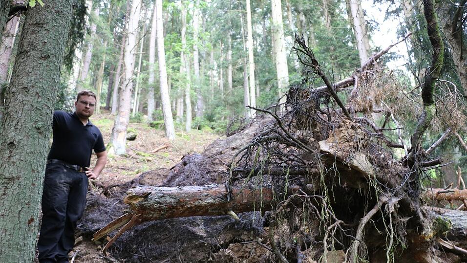 Martin Bielmeier und der umgest&uuml;rzte Baum. Zum ersten Mal seit dem Waldunfall am 2. M&auml;rz, der ihn beinahe das Leben gekostet hatte, besuchte er den Ungl&uuml;cksort.