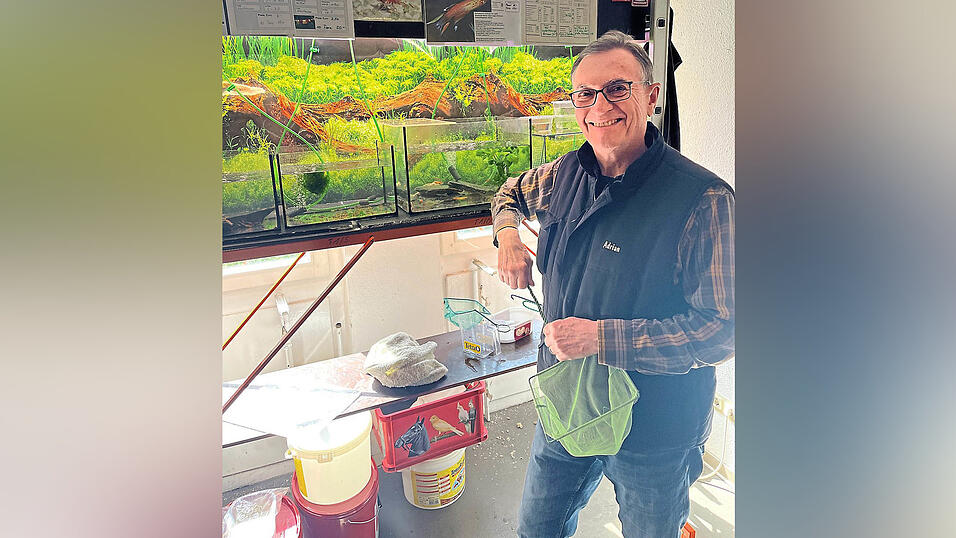 Adrian Brandl ist seit der Gr&uuml;ndung im Jahr 2000 Mitglied der Straubinger Aquaristikfreunde.