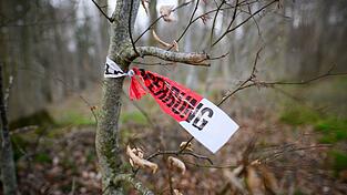 Reste einer Polizeiabsperrung sind in dem betroffenen Waldst&uuml;ck zu sehen.