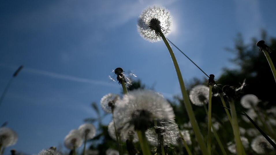 Es wird sommerlich in Bayern. (Archivbild)