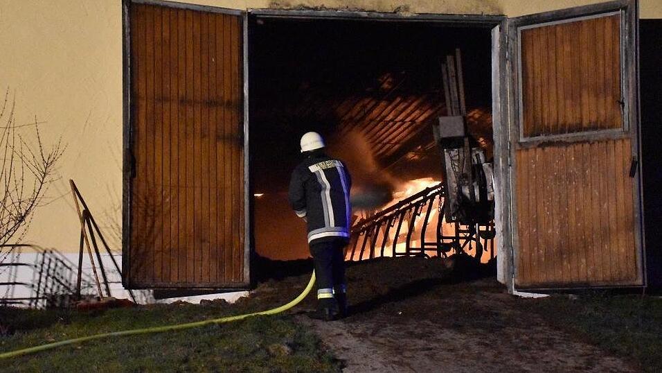Bei einem Brand auf einem Bauernhof im Landkreis Deggendorf kamen mehrere Rinder ums Leben.